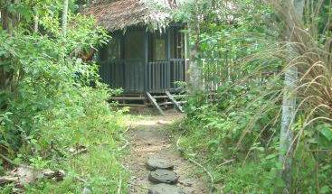 Omshanty Jungle Lodge 31 fotky