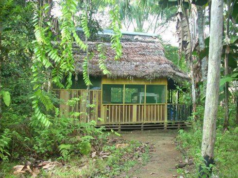 Omshanty Jungle Lodge, Leticia, Colombia, Недавно открывшиеся хостелы и пансионы в Leticia