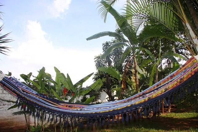 The Green Saman, Cali, Colombia, Colombia hostels and hotels