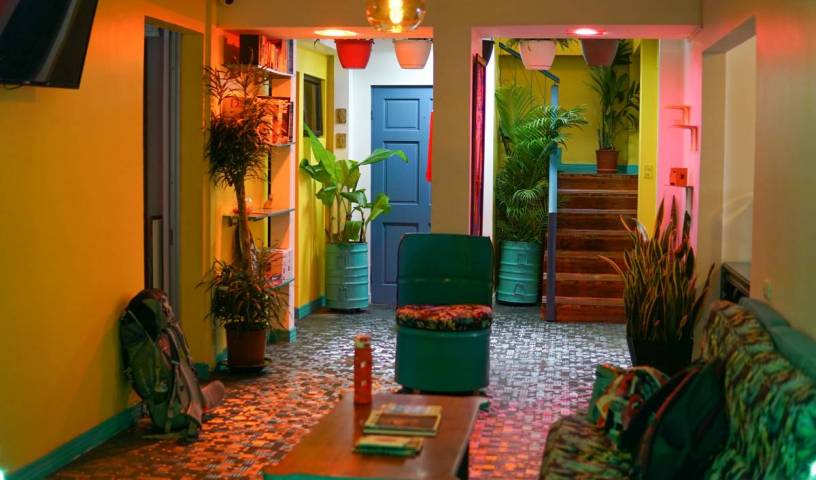 Nativus Art Hostel - 搜索在酒店和旅馆预订房间 San Jose 5 相片