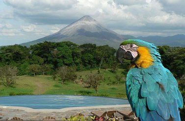 Hotel Arenal Lodge, Volcan Arenal, Costa Rica, Costa Rica hotels and hostels