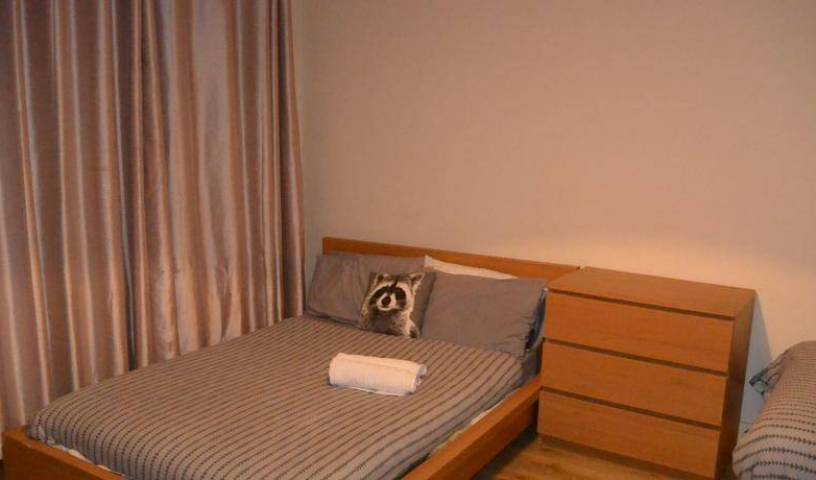 Guesthouse Ashvale Road - Search available rooms for hotel and hostel reservations in City of London 13 photos
