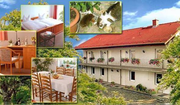 Landhaus Fleischhauer - Search available rooms for hotel and hostel reservations in Lutzen, alternative hotels, hostels and B&Bs 13 photos