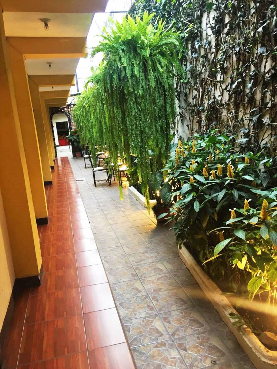 Hostal Antigua, Antigua Guatemala, Guatemala, hotels with non-smoking rooms in Antigua Guatemala