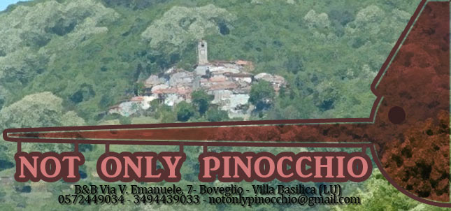 BnB Not only Pinocchio, Lucca, Italy, Italy hotely a ubytovny