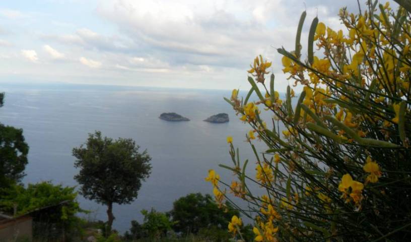 Casa Vacanze Li Galli - Search available rooms for hotel and hostel reservations in Colli di Fontanelle, find things to see near me in Amalfi, Italy 40 photos