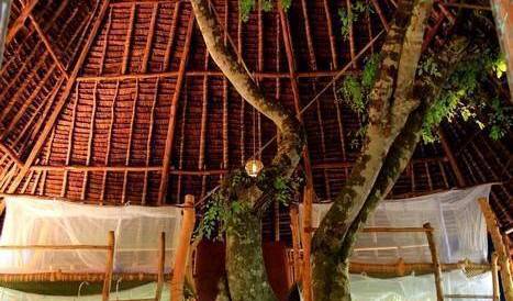 Distant Relatives Ecolodge Backpackers - Search available rooms for hotel and hostel reservations in Kilifi 29 photos