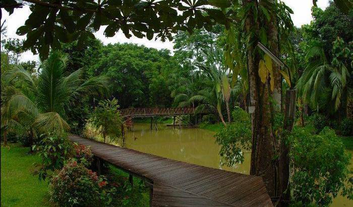 Sepilok Jungle Resort, Viajes de historia familiar y viajes temáticos 14 fotos