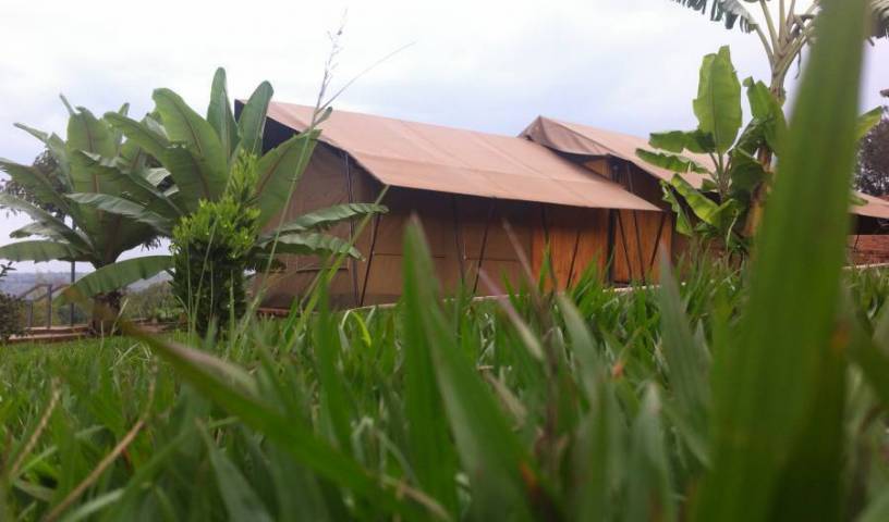 Discover Rwanda Kayonza Eco-Lodge, hotels with air conditioning 44 photos