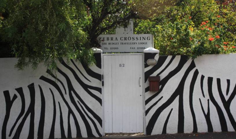 Zebra Crossing 9 photos